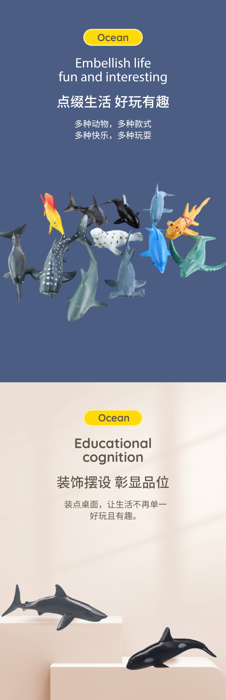 1海洋动物详情_04