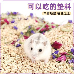 Hamster corn cob pad summer deodorant rabbit Golden Bear pad wood chips hedgehog Totoro urine sand heat relief supplies