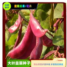 ⶹNӡGü߅üȫüNӼͥ@ˇ߲˻ܷN