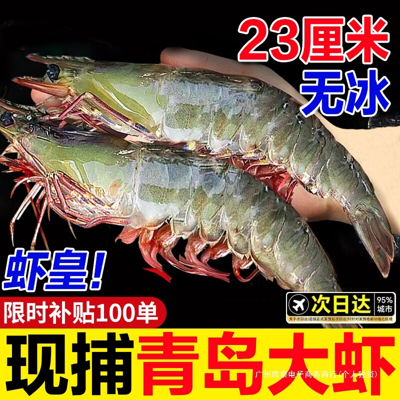 大虾鲜活速冻基围虾超特大青虾海虾冷冻青岛盐冻对虾白虾海鲜水产