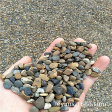 �S�ҹ����������Z��ʯ�V�� �����Z��ʯ�V�� �}���Z��ʯ�V��