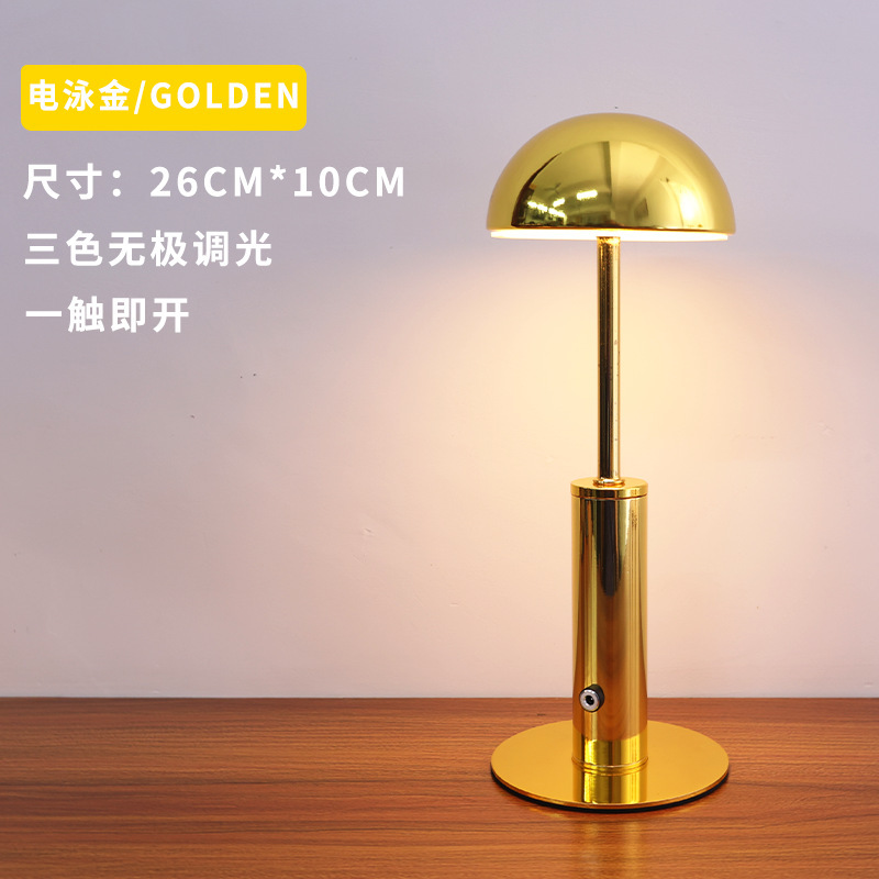 전기영동 골드 + 삼색조명