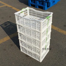 塑料葡萄筐 白色一次性葡萄筐月牙夏黑葡萄筐提子周转筐厂家批发