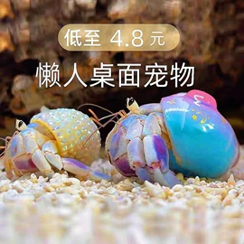 狗狗窝/笼/垫;盆栽;猫猫窝/笼/垫