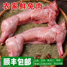 兔肉沂蒙新鲜整只白条兔子肉散养农家冷冻一件包邮一件起批包邮