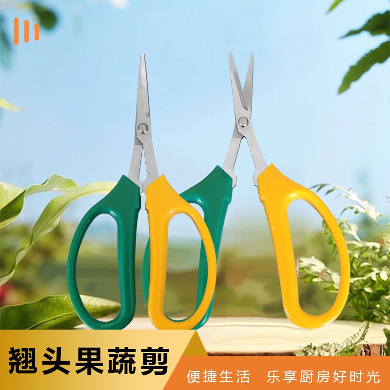 洪迪葡萄翘头剪刀修枝剪园林剪不锈钢修果剪稀果剪蔬果剪葡萄剪刀
