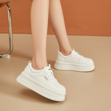 СЬŮ2025¿ܛpmٴeЬУ@LЬ