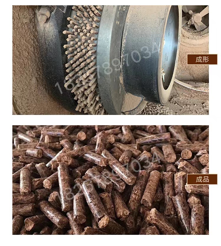 微信图片_2023080219550429