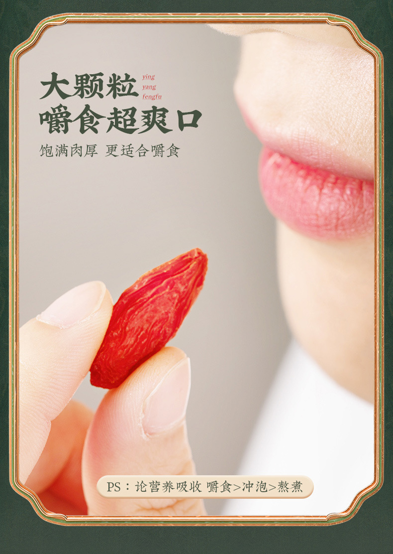 Ningxia Goji Berries Premium Grade Large Fruit First Harvest Dried Wolfberry for Tea and Water in use