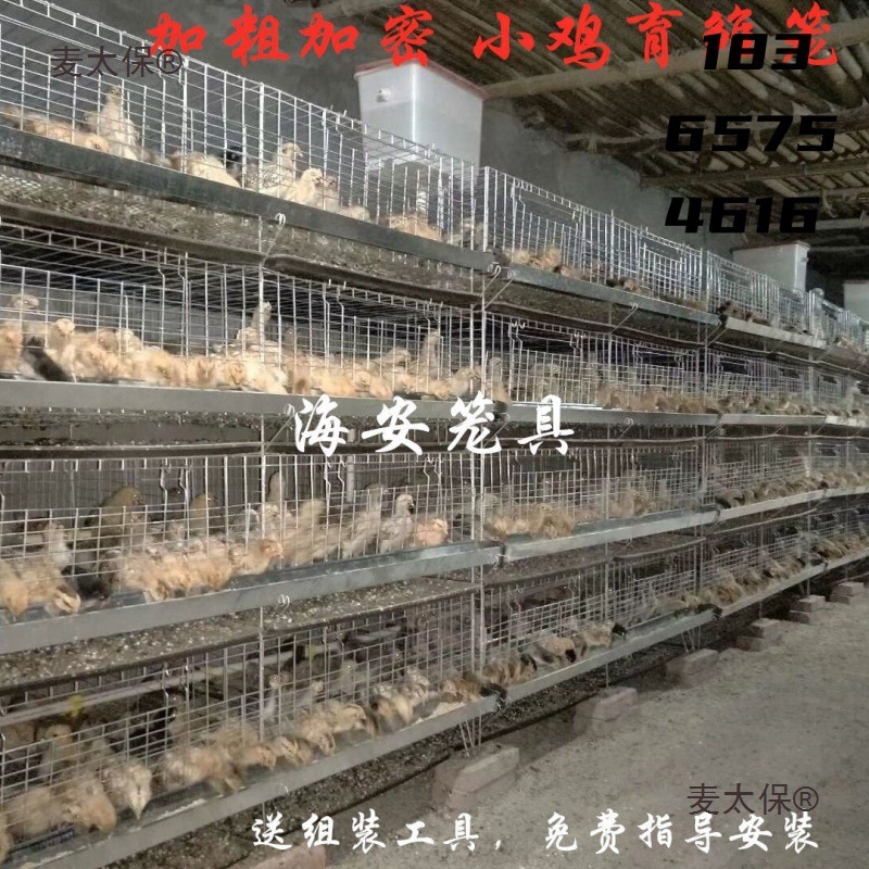 鹌鹑养殖笼子小鸡育雏笼用养小鸡笼加粗加密雏鸡笼鸡苗蛋鸡麦太保