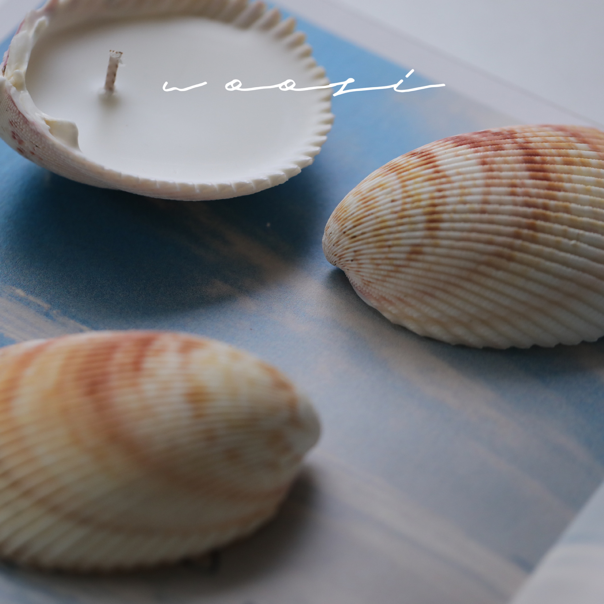 Vela perfumada sem fumaça Niche Shell para aromaterapia, presente de aniversário de menina de alto valor, decoração de quarto, decoração._voghion.com