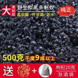 广西大黑蚂蚁干山蚁拟黑多刺蚁养生泡酒食用500g另售蚂蚁粉真货好