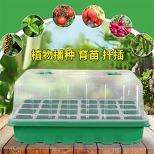 �������̖���w12��24��Ǥ���貥�N���琞�B���~��Ѩ�P�����~��