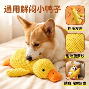 ������ҧë�qС�S���������ĥ���␞�l��ż��ȮӖ�����ӿ羳