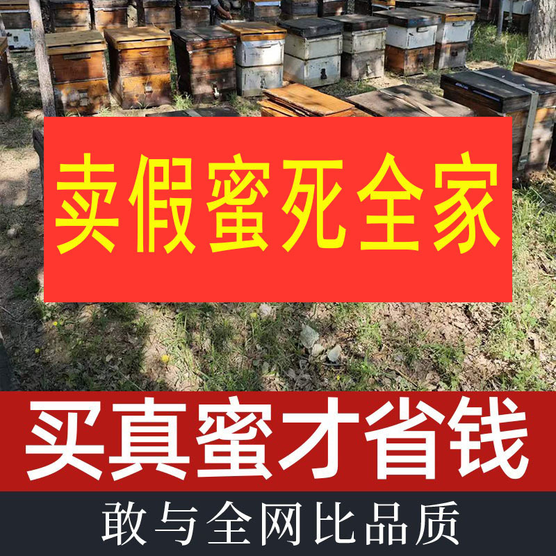 Raw Honey from Beekeepers, Wildflower Honey from Farm-Produced Sources, Authentic Acacia Nectar with High Activity Raw Honey from Beekeepers, Wildflower Honey from Farm-Produced Sources, Authentic Acacia Nectar with High Activity