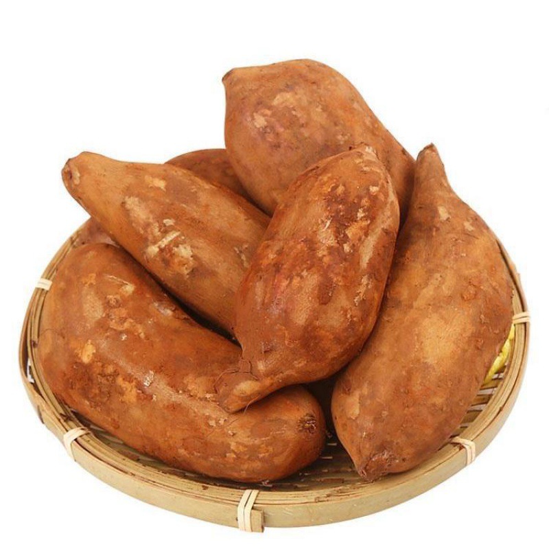 雪莲果批发云南天山应季水果新鲜低糖红心现挖黄心1/10斤一件代发|ms