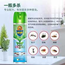 Chaowei Insecticide spray Household mosquito killer aerosol