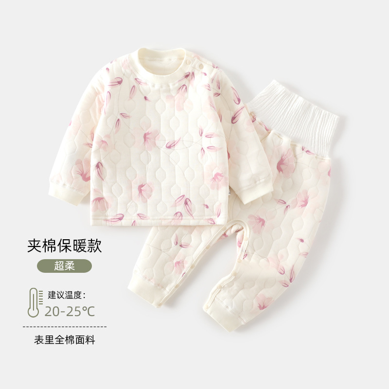 305120 blossoming flowers purple