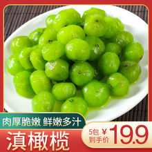 云南特产蜜饯餐饮零食干果脆甜果脯油柑果新鲜野生滇橄榄真空包装