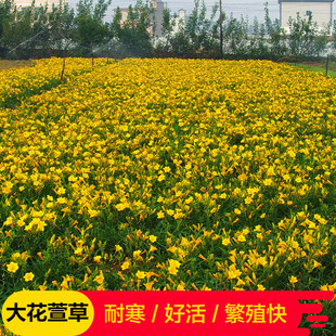 �����ͥԺ�G����Gֲ�������滨���S���������n�ݷN���ͺ�����