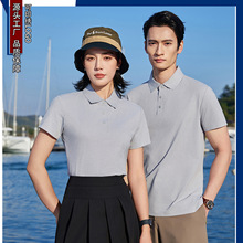 �ٸɶ��䷭�IPOLO���� �ƈF�w��I�������b���У���\�ӕ�ӡ�ִ�