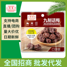 同享口袋装九制话梅30g/包 办公休闲便携小零食蜜饯果干孕妇零食