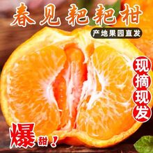 �Ĵ��ҰҸ���S���]��ˮ�����Fժ�F�l���r�ЋD���ӑ����������l