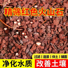 天然火山石颗粒兰花多肉专用铺面火山岩营养垫底水族小直发工厂