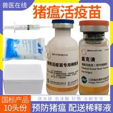 兽药兽用江苏南农瘟克清猪瘟活疫苗传代细胞源预防猪瘟10头份/瓶