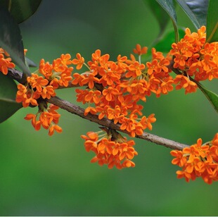 ��������͹𻨘������Ԯ����_����𵤹�����ͥԺ�������󃞻�