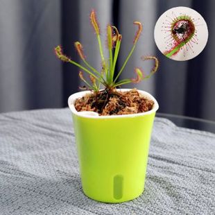 ʳ�x��ω�������x��ʳ�˻�����i�\�ݳ�����xץ�x���˻���ֲ��