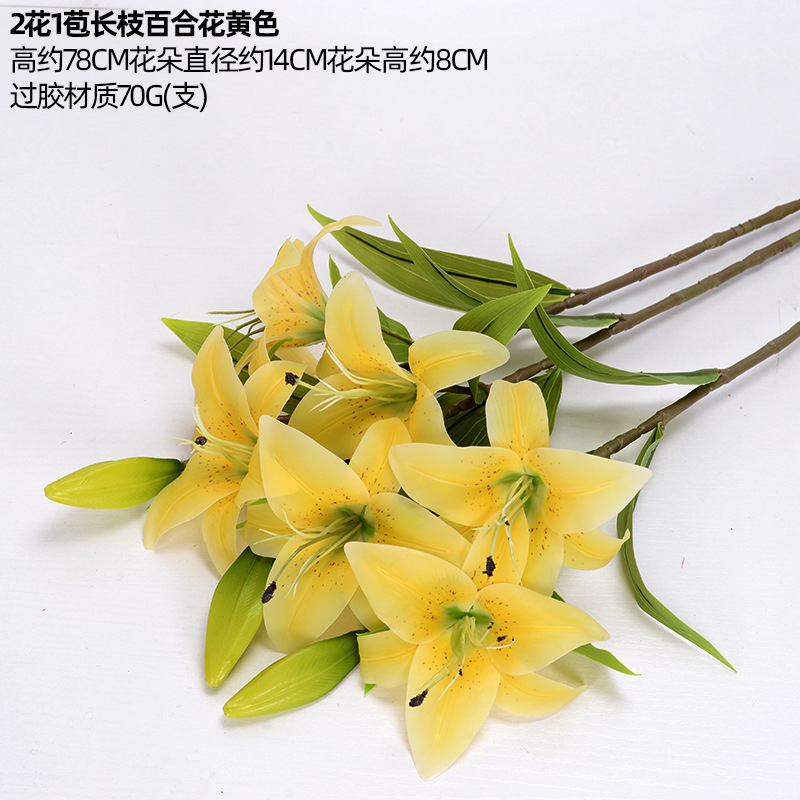 Lily de rama larga amarillo