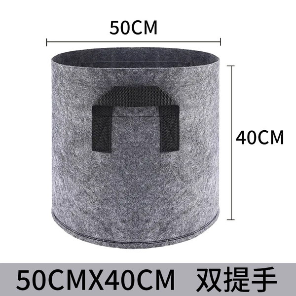 [Gray ears] 50 diameter 40 height