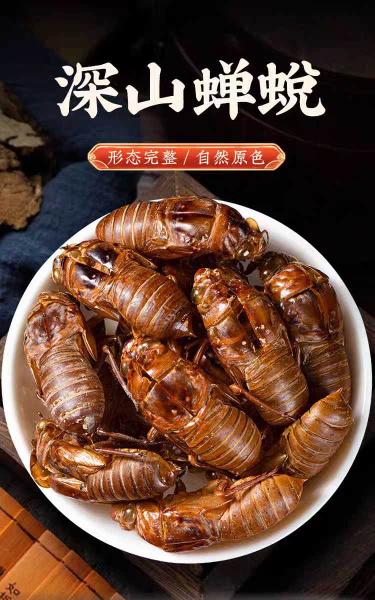 Chan Tui (Cryptotympana pustulata) — Wild-Harvested Dried Cicada Slough, 500g overview
