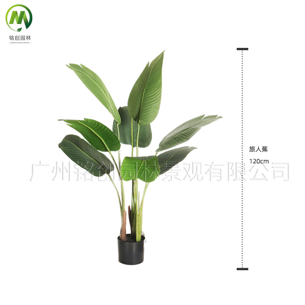 Escenografía de estilo nórdico Simulación de plantas verdes Plantas en macetas Centro comercial Simulación de decoración suave Plantas verdes falsas