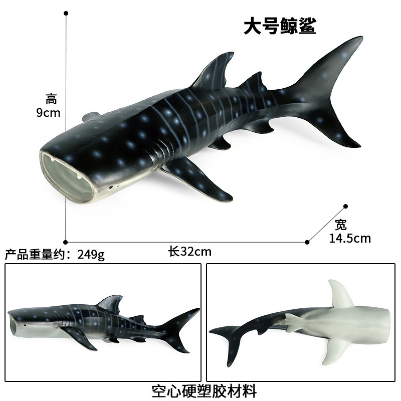 23472103196_1464955482