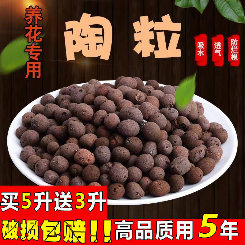 陶粒养花通用型花盆垫底园艺多肉专用花卉土铺面特价批发
