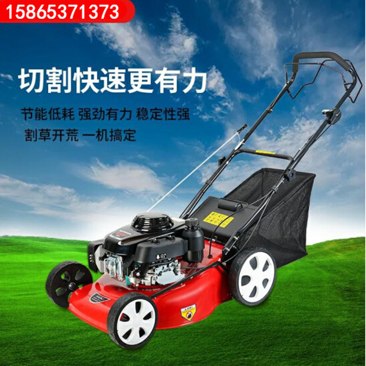 农林畜牧场草场地用修剪机 批发果园平地除草机 绿化带草坪剪草机