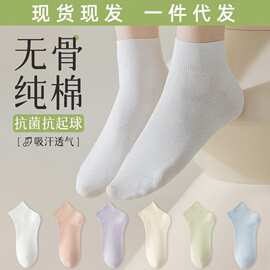 新款无骨袜子女夏纯棉薄款防臭吸汗短袜白色袜子女透气月子袜批发