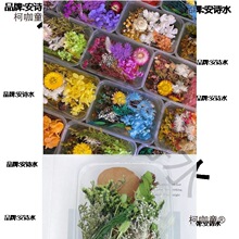�ɻ�������ֵ�������ɻ�覴ÿ�����z���ϰ�diy��Ӵ����̫��