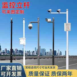监控杆一体立杆户外批发摄像机3米4米球机枪机监控支架立杆厂家