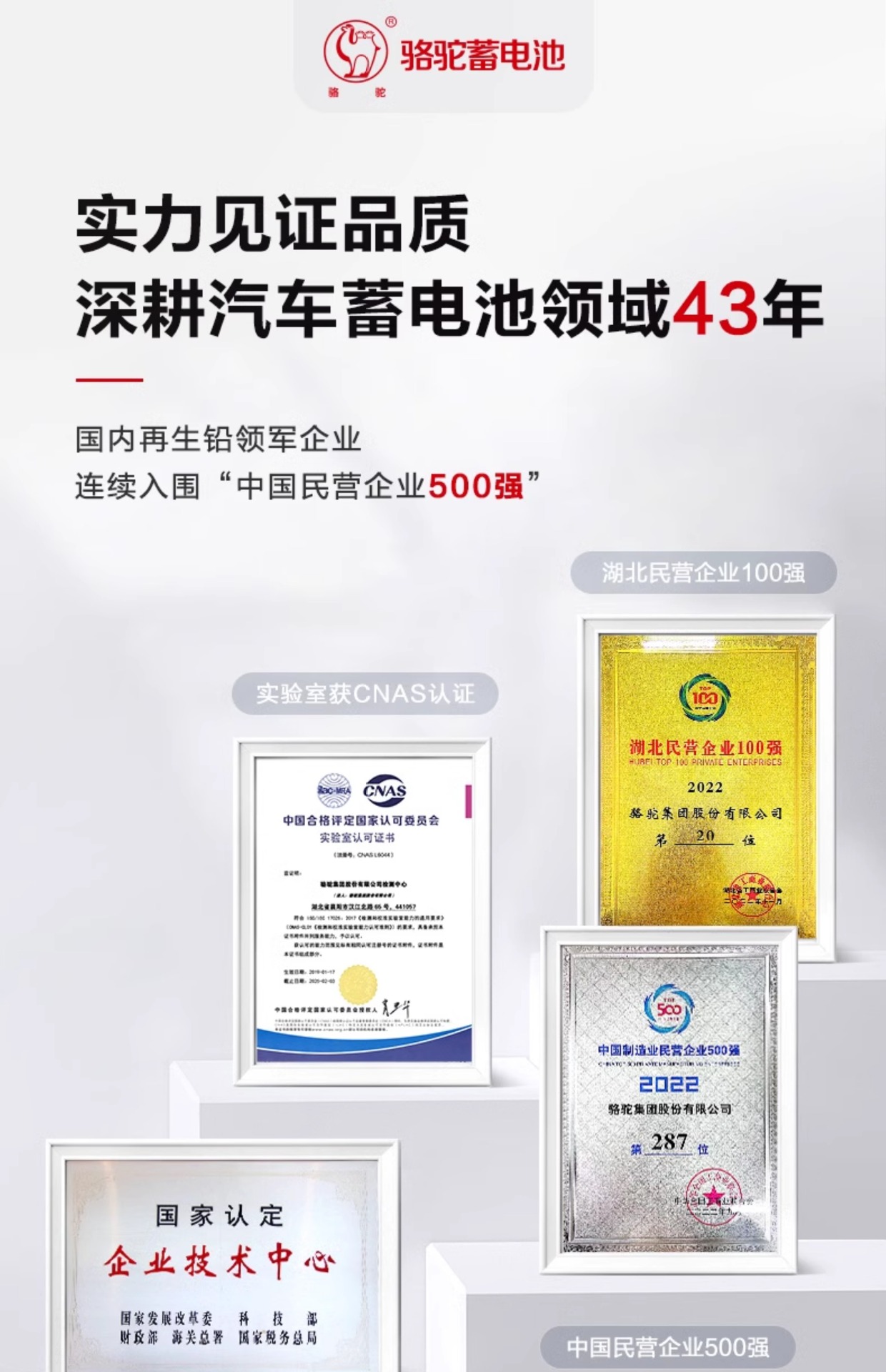 Suitable for Camel Car Battery Other 2V45Ah Wuling Hongguang Changan Civic Baojun Sylphy Official