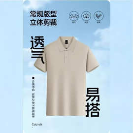 商务男女同款POLO衫定制logo高质量纯棉珠地220克短袖POLO衫跨境