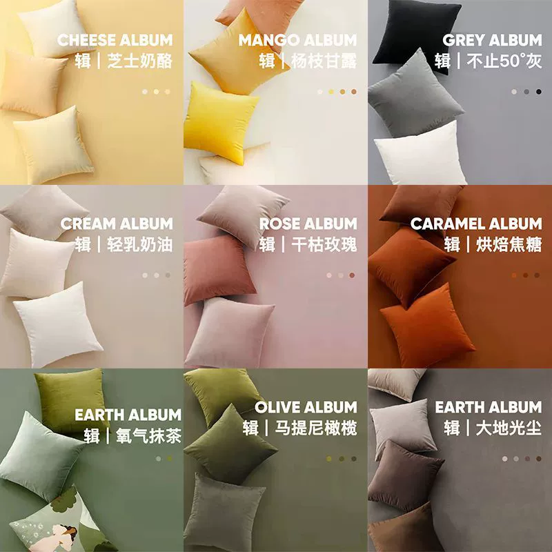 Двухсторонняя подушка Квадратная минималистская легкая роскошь ветра без сердечника диван прикроватная гостиная наволочка декоративная подушка