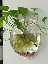 �ڒ컨�脓����m����G�}ˮ����⻨������С���蠝�ϵ���ڻ���