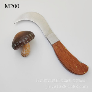 늹������㽶�����ۯB�󏝵�����Ģ������ľ����ɏ�������}��