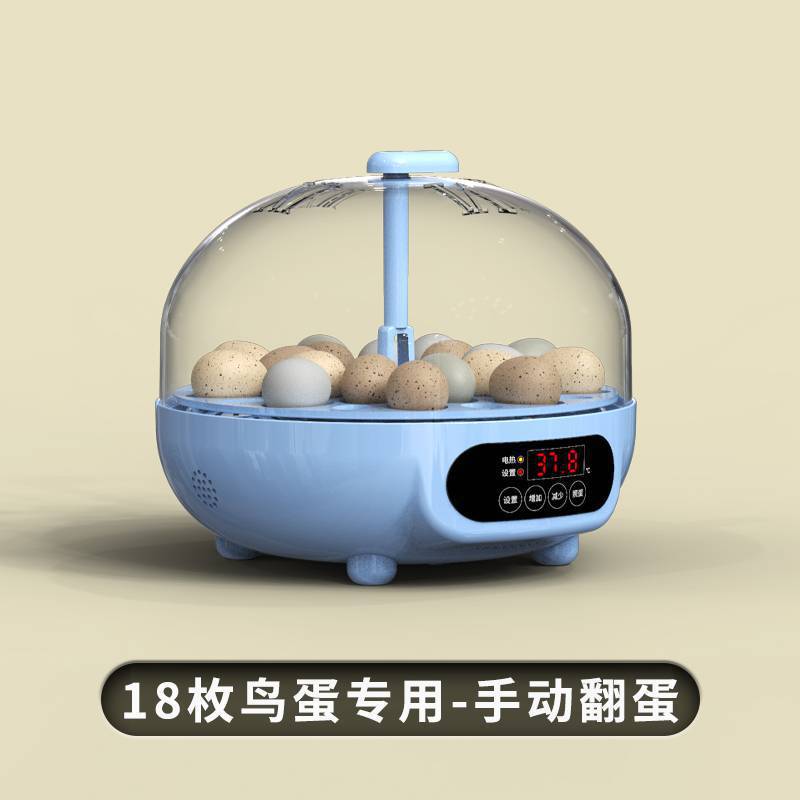 Q4 mini 18 huevos - huevos volcados a mano - huevos de pájaro