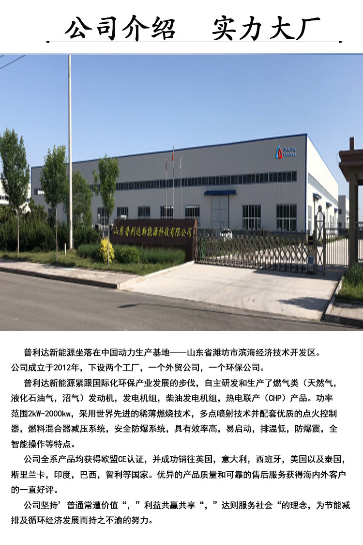 燃气发电机组6 - 副本