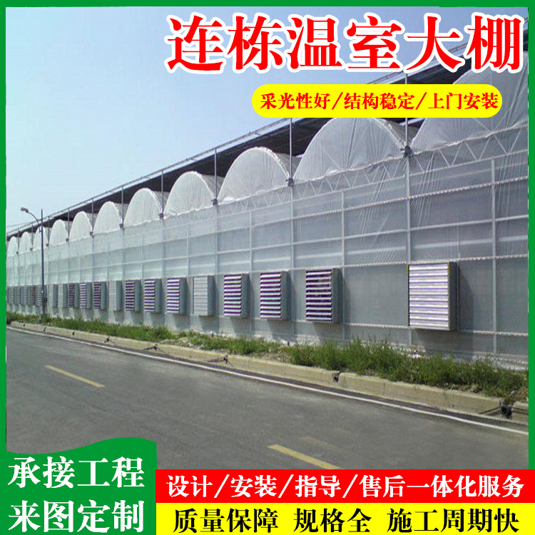 农业外遮阳温室大棚 连栋连体大棚拱棚 恒温薄膜大棚草莓种植大棚