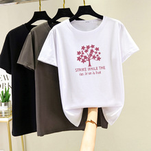 С������T��Ů�ļ�Ůʽ���ꋌ�����ɶ������bŮ�b����